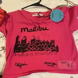Michael Stars Vintage Malibu hot pink crop tee!